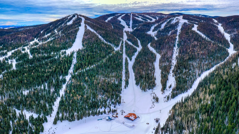 aerial view of Sunrise Ski Park in Greer, Arizona