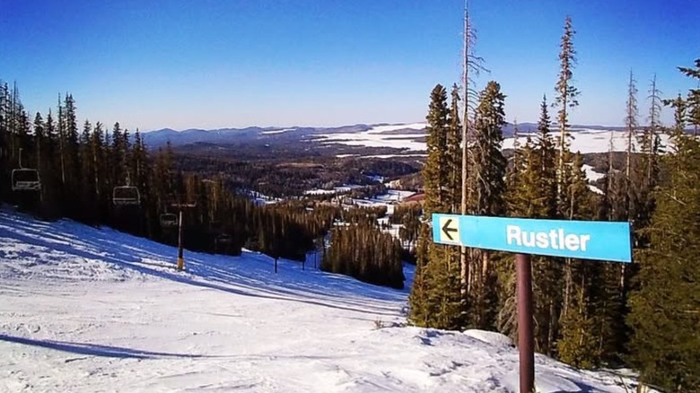 Rustler trail at Sunrise Ski Park