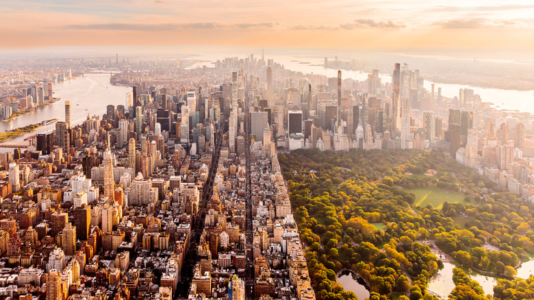 Aerial view of Central Park in New York City