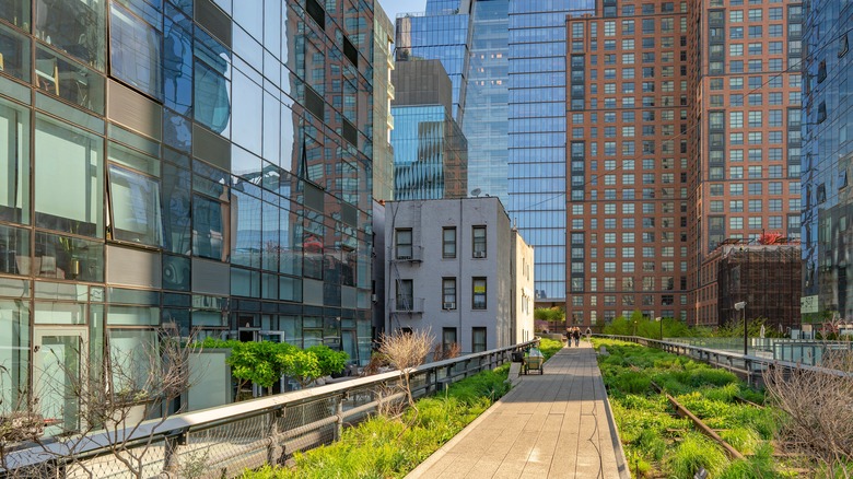 Gardens on The High Line 