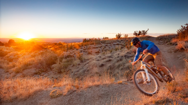 Cyclist speeds through New Mexico desert