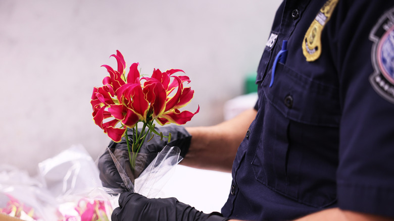 Customs agent inspecting flowers