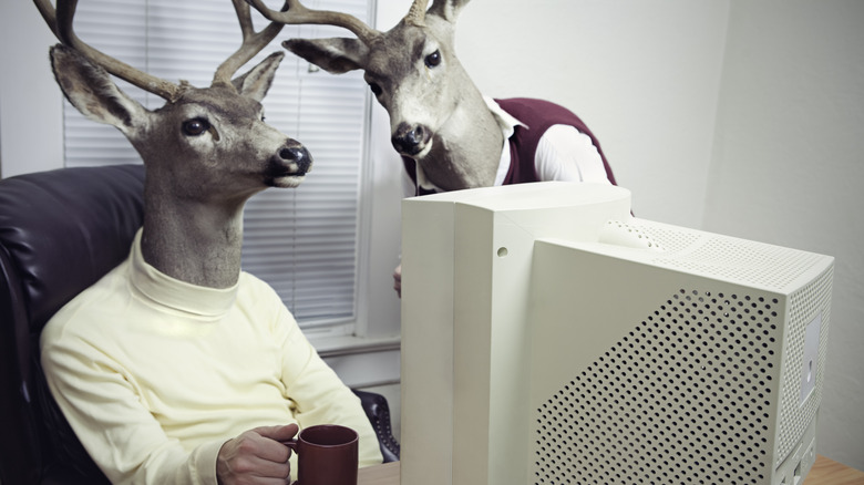 Two deer working at desk