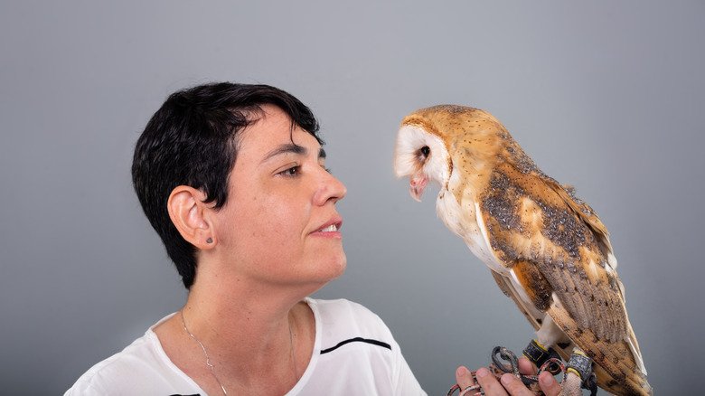 A woman stares at an owl