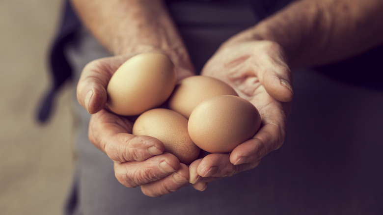 hands holding four brown eggs