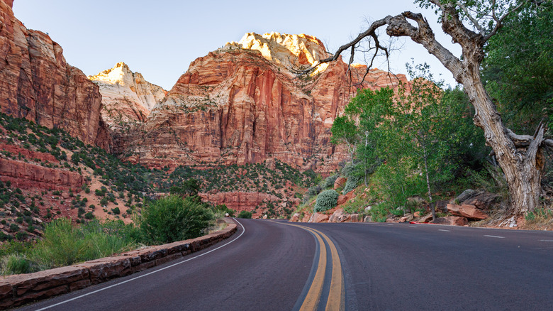 canyons surrounding Zion-Mt. Carmel Highway