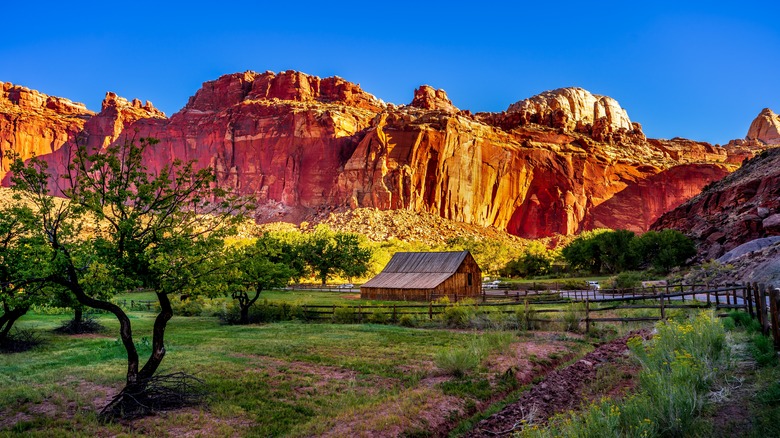 rocks behind barn in meadow