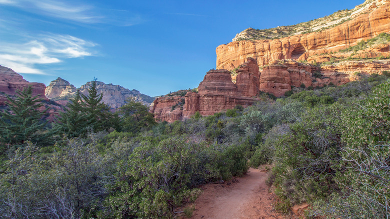 Trail, desert greenery, and red rock formations