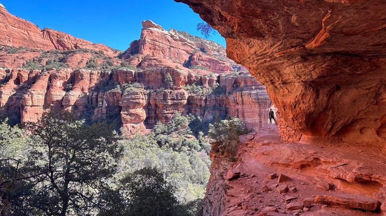 Hiker admiring a red rock canyon