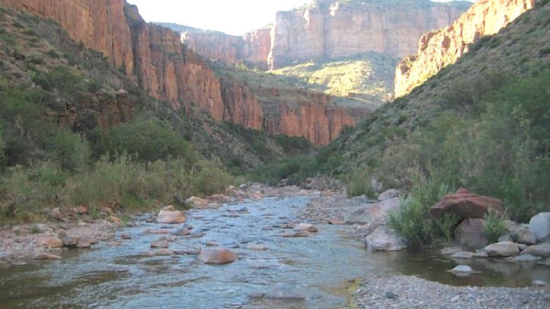 Stream in rocky desert canyon