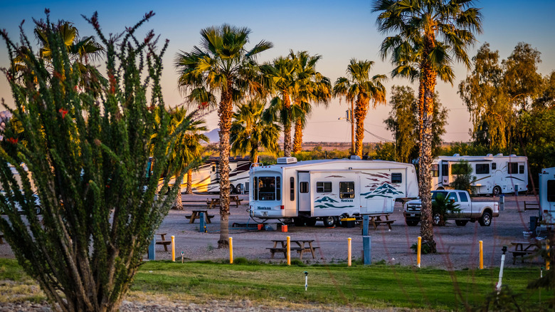 Arizona RV park with palm trees