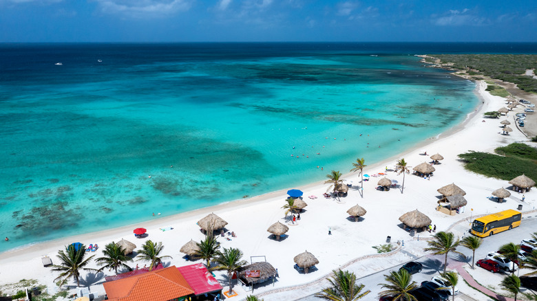 Aerial view of Arashi Beach