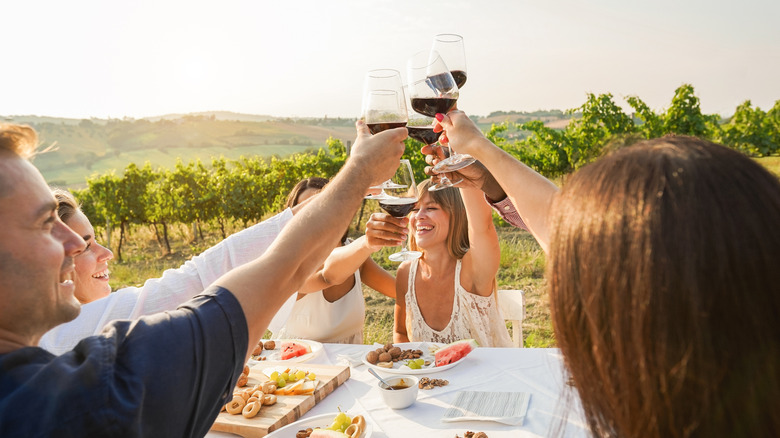 A group toasts red wine outdoors in a sunny vineyard