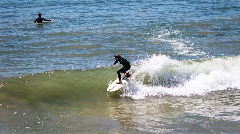 surfer riding a wave