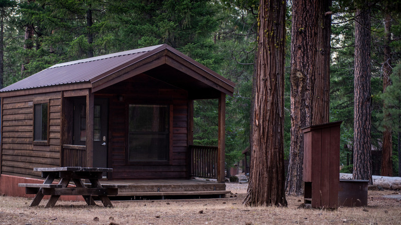 Log cabin in forest