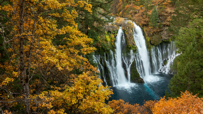 Tall mountain falls autumn