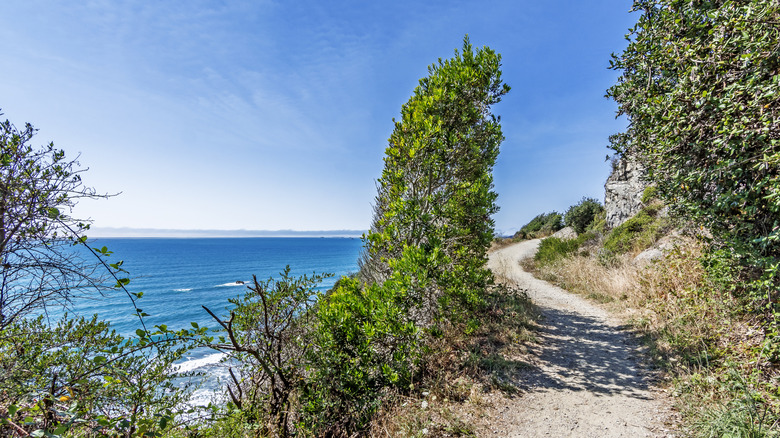 windy beach road california