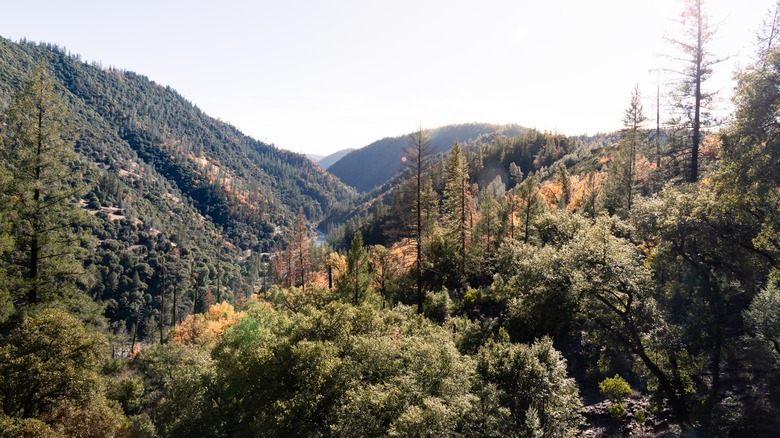 An overhead view of the American River Canyon