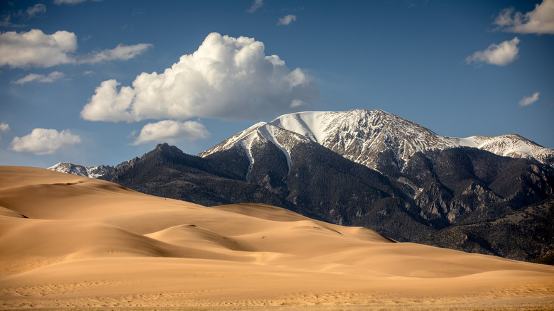 Sand dunes in Colorado backed by snow-capped mountains