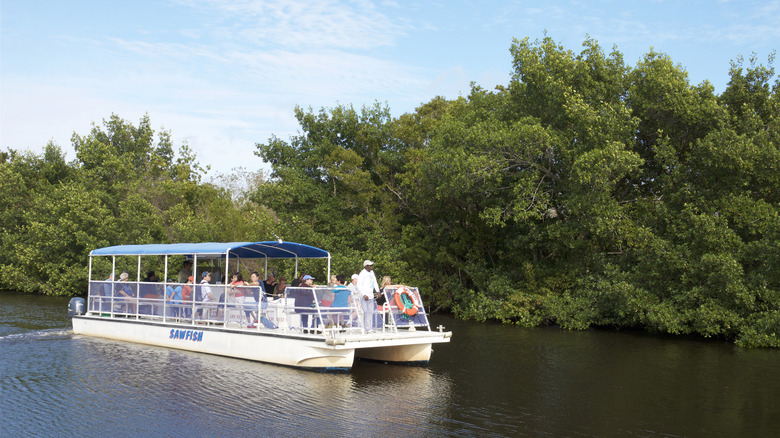 Boating tour on the Everglades