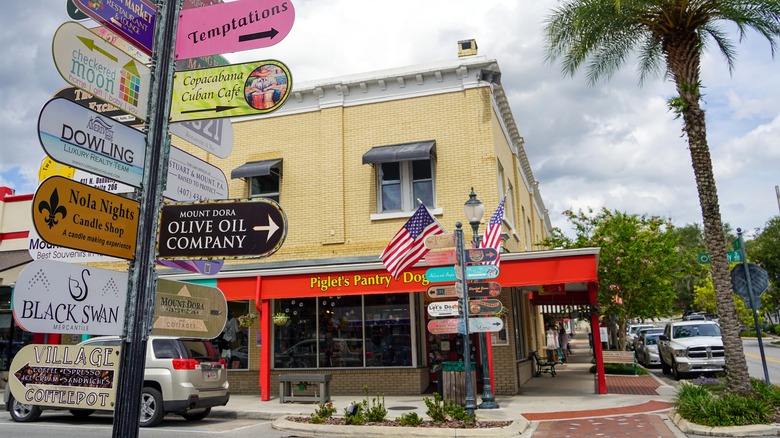 Signs stand in downtown Mt. Dora