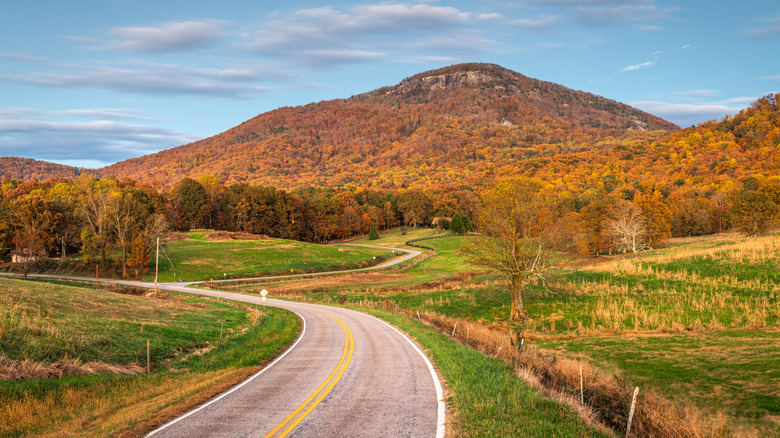 Yonah Mountain covered in trees at peak fall color