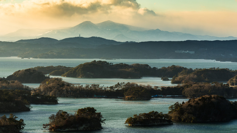 bay landscape viewed from Otakamori