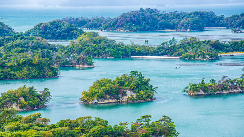 landscape of islets that make up Matsushima Bay