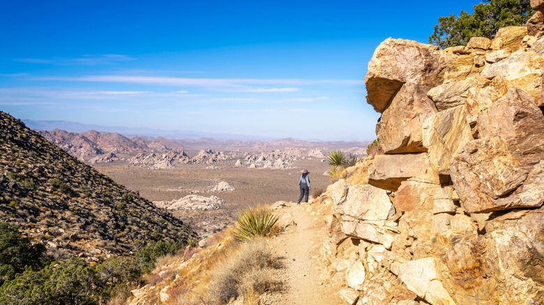 a hiker on the trail to Ryan Mountain in Joshua Tree