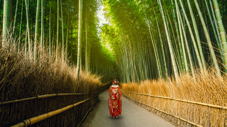 A woman in traditional outfit walks down a path in Japan