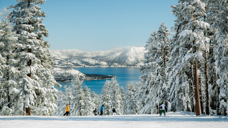 People skiing near Lake Tahoe in winter