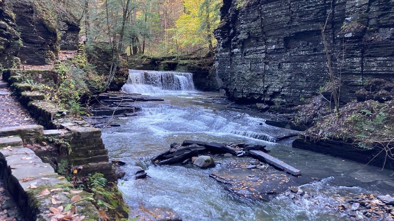 View of a waterfall at Fillmore Glen State Park