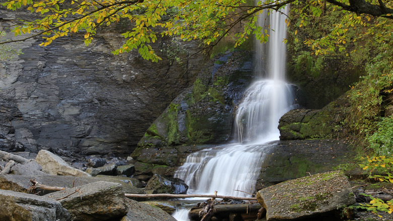 View of Cowsheds Falls