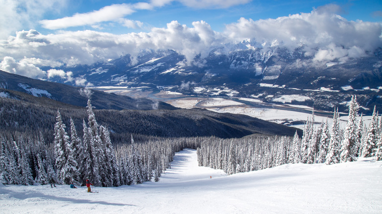 Revelstoke Mountain ski run on a blue bird day