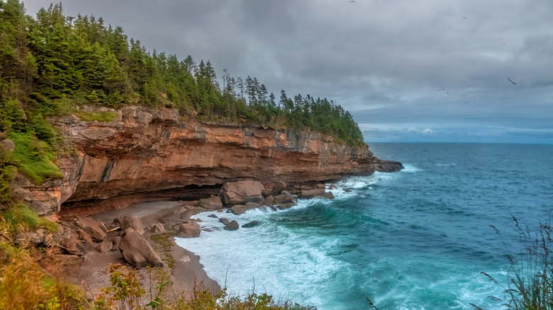 Seaside cliffs on Bonaventure Island