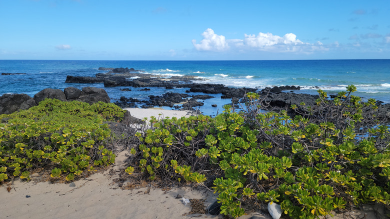 Ka'ena Point coastline in Oahu, Hawaii