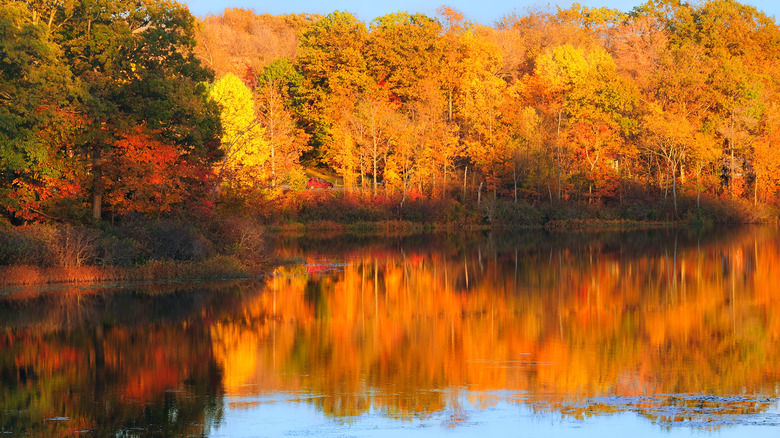 Punderson Lake in the fall