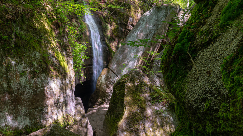 Nelson Kennedy Ledges State Park