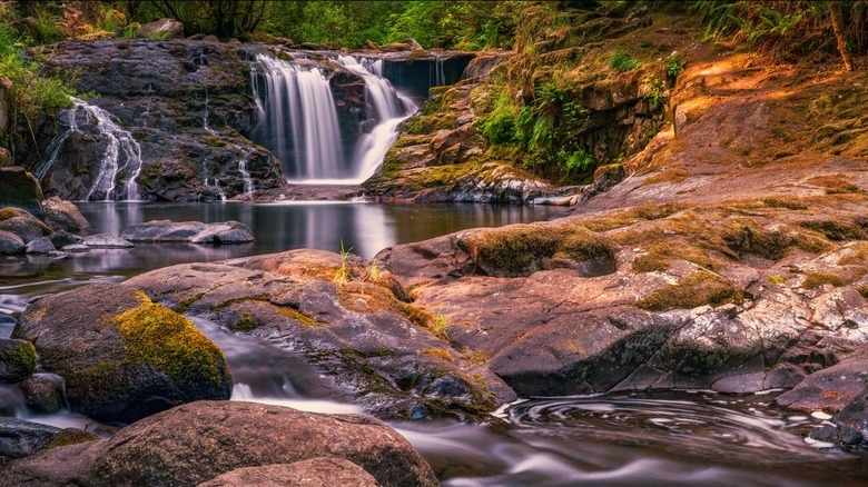 Cascading waterfall in forest