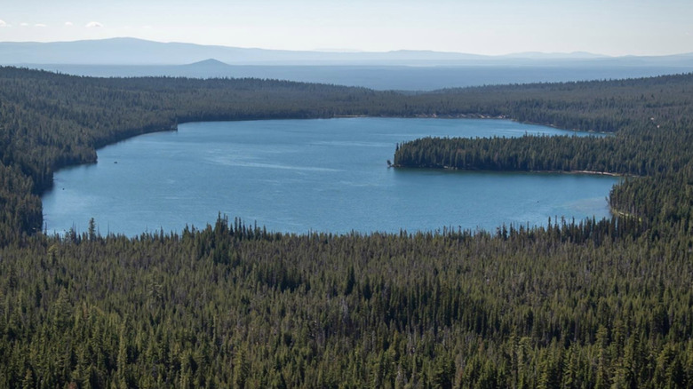 An aerial view of Miller Lake in Oregon.