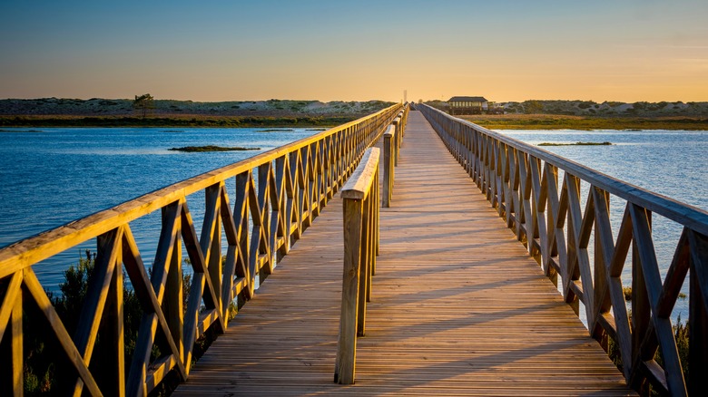 wooden footbridge over waterway