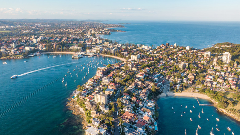 Aerial view of houses and boat-filled harbor of Manly