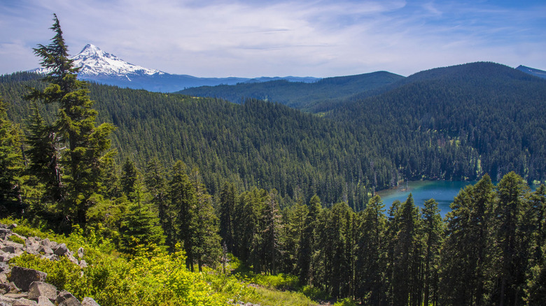 Lake Wahtum with Mt. Hood in background