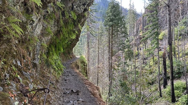 Eagle Creek Trail in Oregon