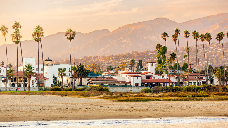 White buildings by beach with palm trees