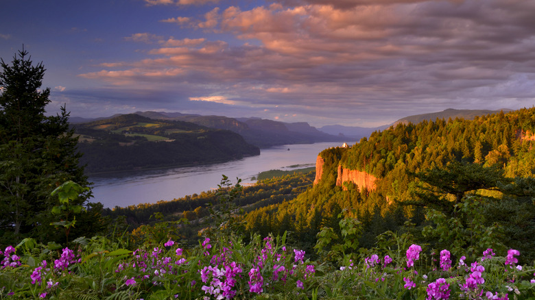 River, cliffs and wildflowers at sunset