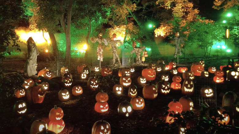 Scattered carved pumpkins and scarecrows