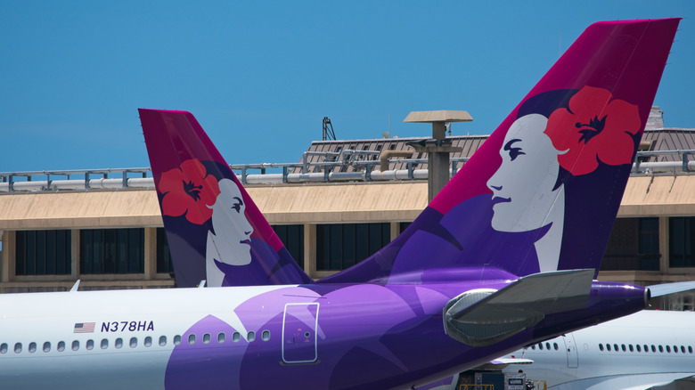 The tails of two Hawaiian Airlines planes.