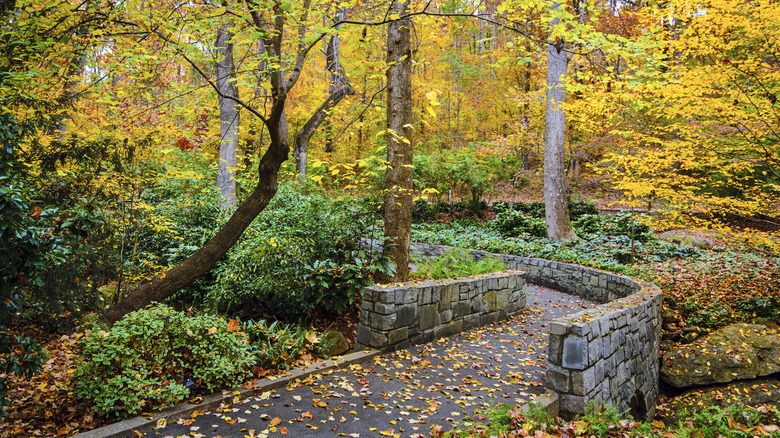 A trail at Athens Georgia Botanical Garden is shown with fall foliage.