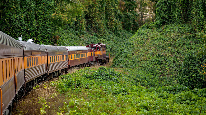 The Great Smoky Mountains Railroad